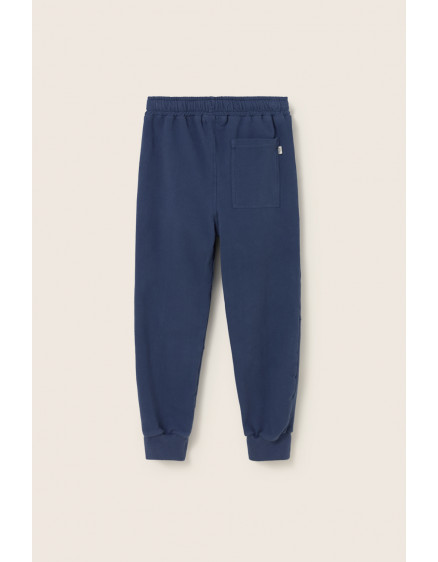 Штани Navy Gerry 2