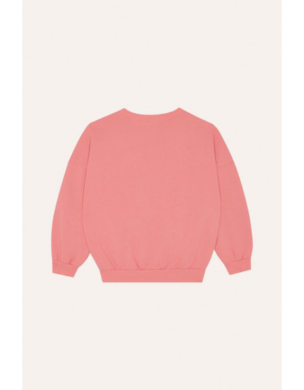 Світшот Falling Star 4