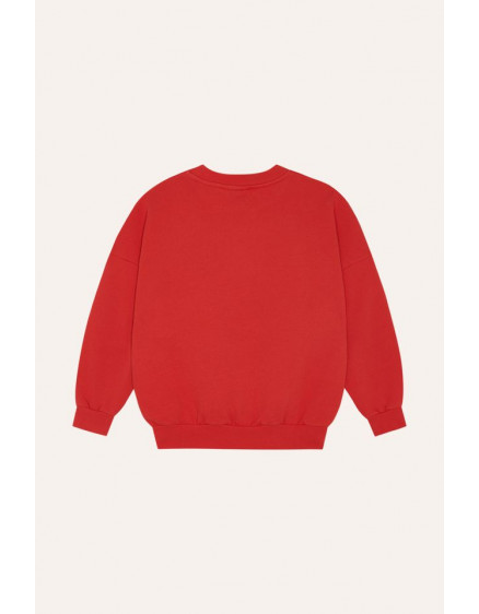 Світшот Reading Lion 4