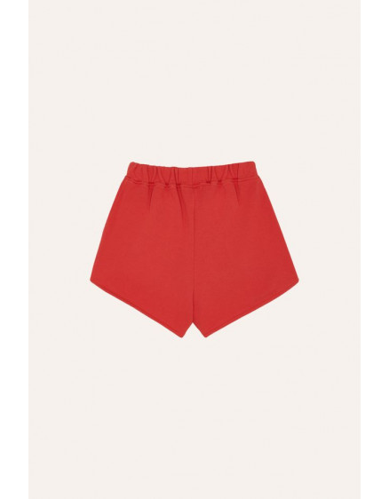 Шорти Reading Lion 5