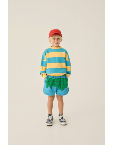 Шорти Falling Star 3