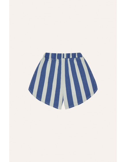 Шорти Blue Stripes 6