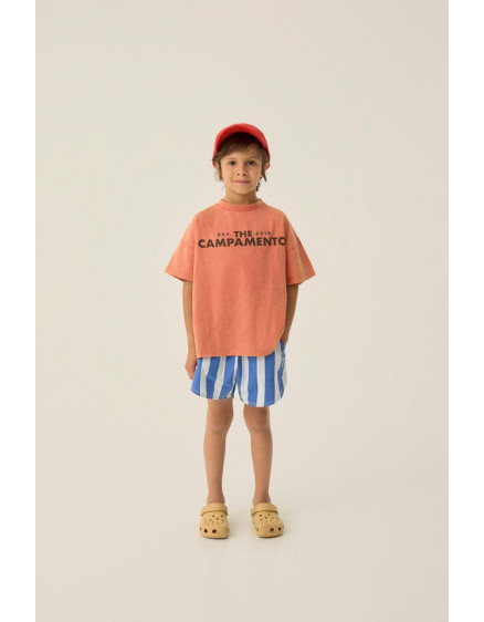 Blue Stripes Washed Shorts 3