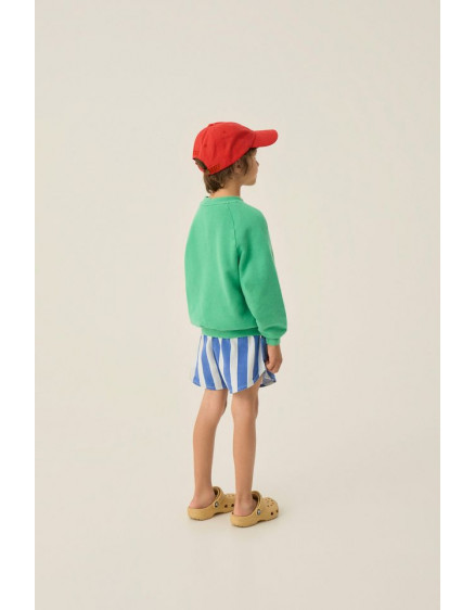 Blue Stripes Washed Shorts 4