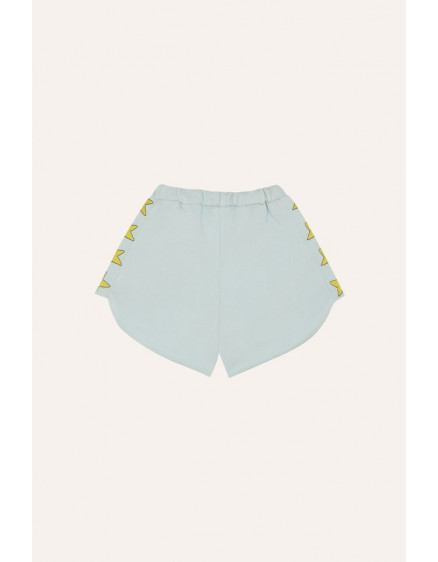 Шорти Stars Washed 4