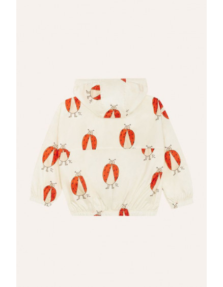 Вітровка Ladybug All 4