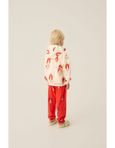 Вітровка Ladybug All 2