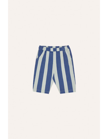 Blue Stripes Washed Baby