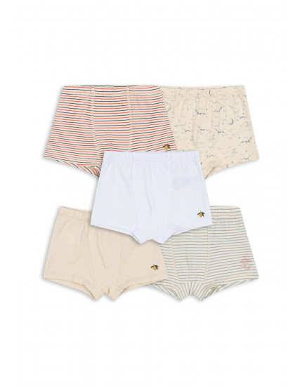 5 х Боксери Boy Multi