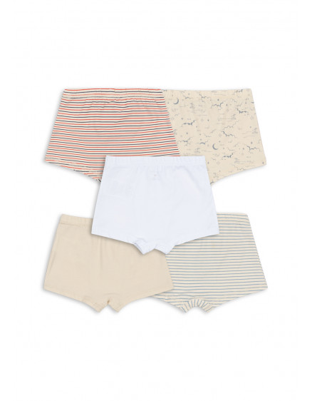 5 х Боксери Boy Multi 4