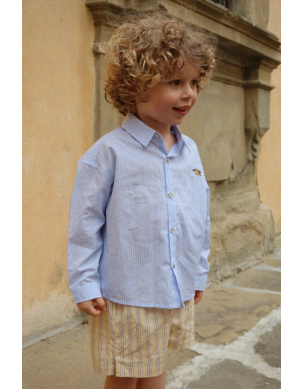 Сорочка Wes Blue Stripe 4