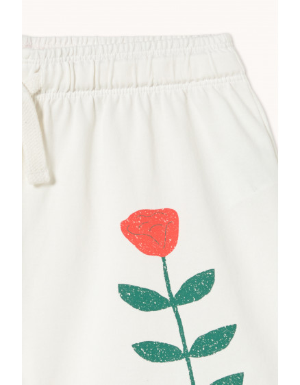 Шорти Red Roses White 2