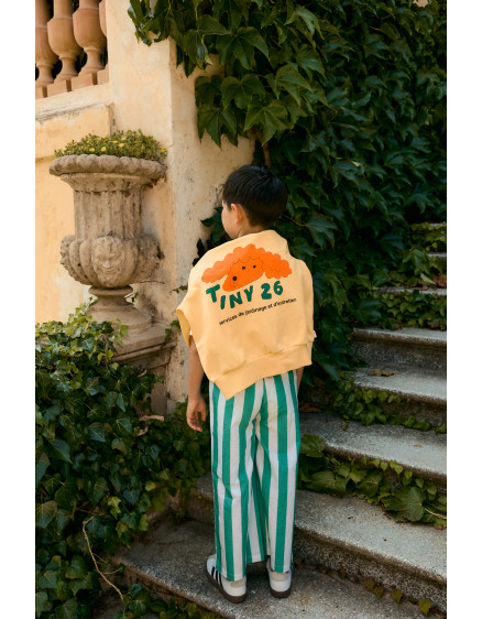 Світшот Red Dog Soft Yellow 2