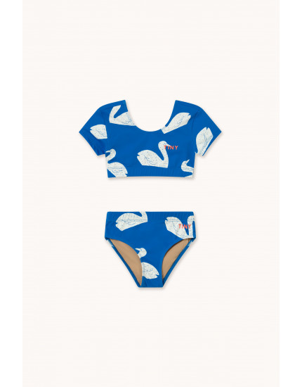 Big Swans Swim Set Blue