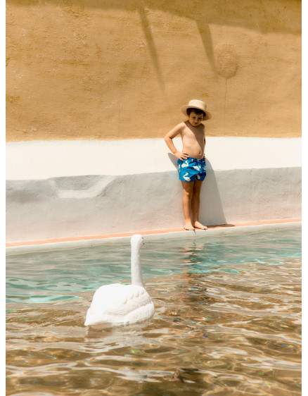 Плавки Big Swans Blue 2