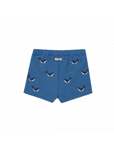 Плавки Wangu Whales Royal Blue 2
