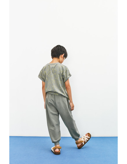 Штани Star Kid Grey 2