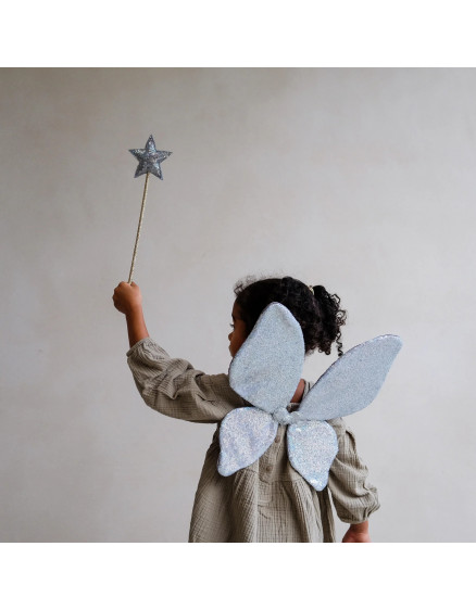 Крила Sparkle Sequin Silver 3