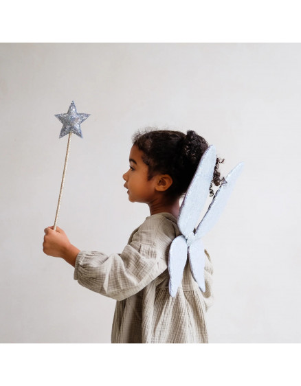 Крила Sparkle Sequin Silver 2