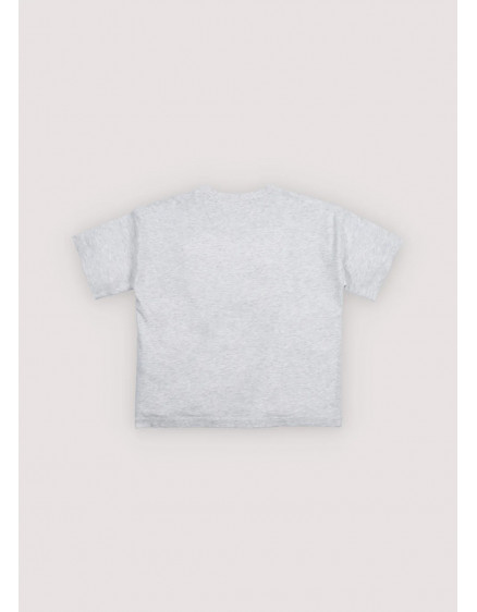 TNS Logo T-Shirt Light Grey Melange 2