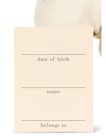 Лялька My First Mini Lemon 3