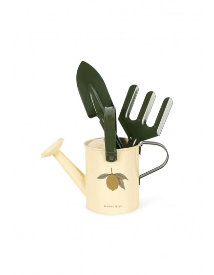 Садовий набір Lemon 6