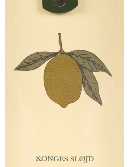 Садовий набір Lemon 4