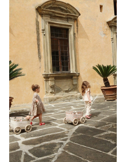 Дитяча коляска-візок Vienna 2