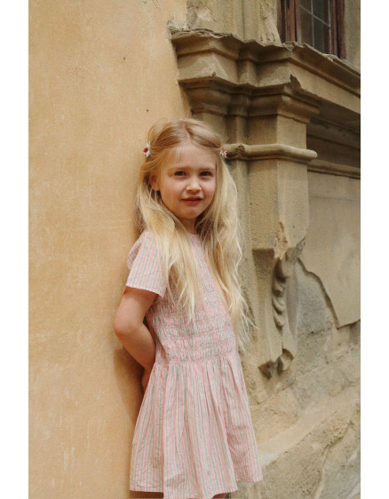 Сукня Luli Blush Stripe 3