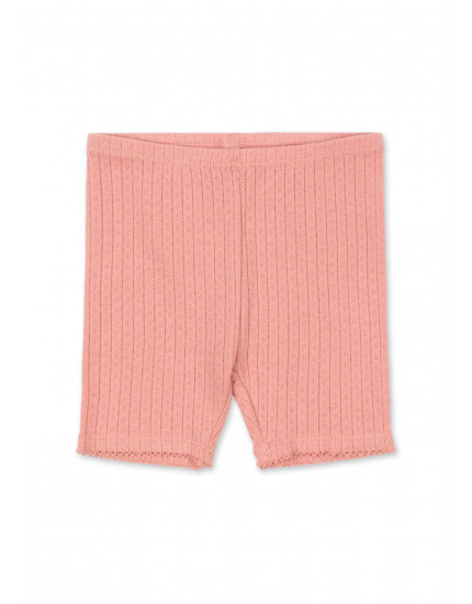 Велосипедки Minnie Rosette