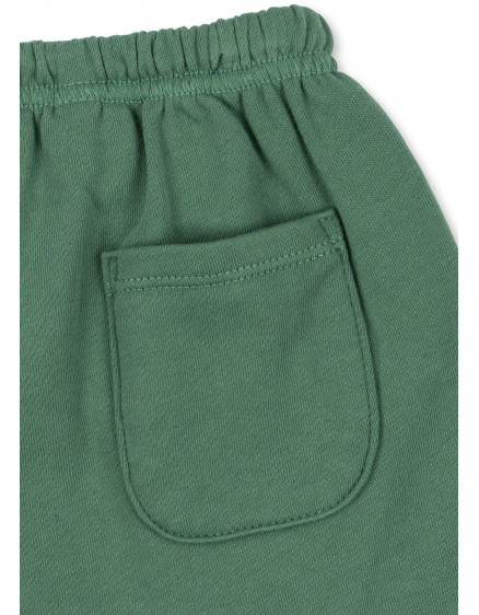 Шорти Spotty Dark Ivy 5