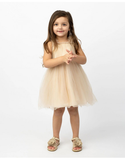 Сукня Elysa Soft Powder 2