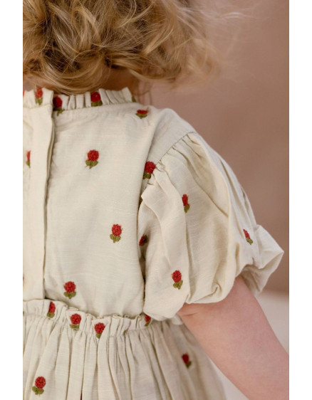 Сукня Camilla Red Roses Sand 2