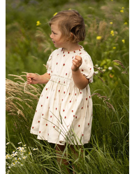 Сукня Camilla Red Roses Sand 3