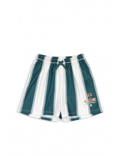 Шорти Act Class Stripe