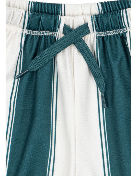 Шорти Act Class Stripe 3