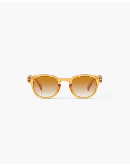 Sunglasses #C Golden Canyon Polarized