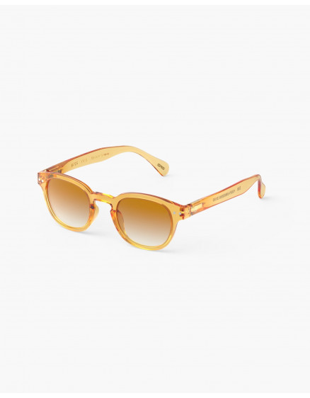 Sunglasses #C Golden Canyon Polarized 2