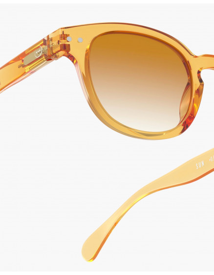 Sunglasses #C Golden Canyon Polarized 3