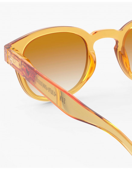 Sunglasses #C Golden Canyon Polarized 4