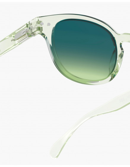 Sunglasses #C Green Fields Polarized 3