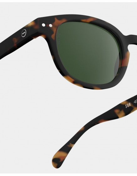 Sunglasses #C Tortoise Polarized 3
