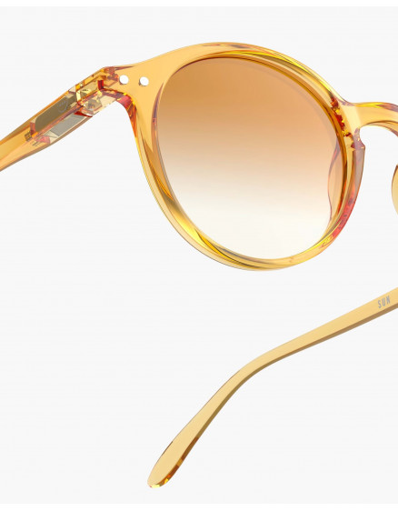 Sunglasses #D Golden Canyon Polarized 3