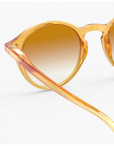 Sunglasses #D Golden Canyon Polarized 4