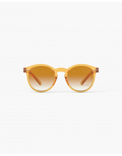 Sunglasses #M Golden Canyon