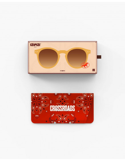 Sunglasses #M Golden Canyon 3