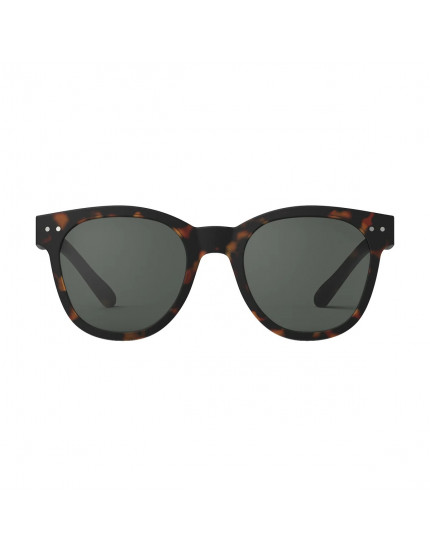 Sunglasses #N Tortoise