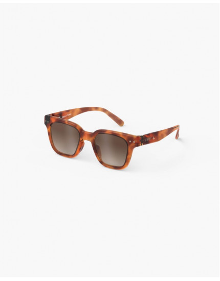 Sunglasses #Road Glossy Havana 5-7