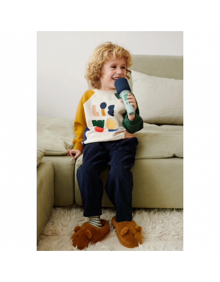 Beinta Karaoke Microphone Peppermint 4