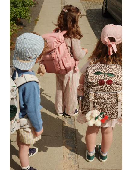 Шкільний рюкзак Clover Leo 3